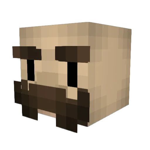 Dsannus Minecraft avatar head, 3D render