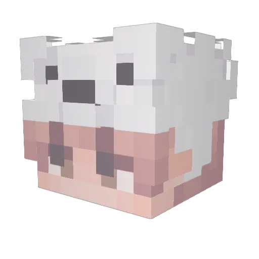 Dscail Minecraft avatar head, 3D render
