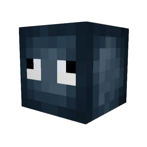 Dsenji Minecraft avatar head, 3D render