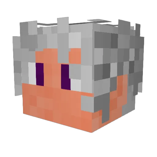 DsheffArdoy Minecraft avatar head, 3D render