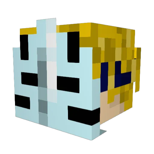 Dsledge11 Minecraft avatar head, 3D render
