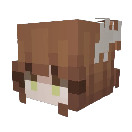 Dsmant1er Minecraft avatar head, 3D render