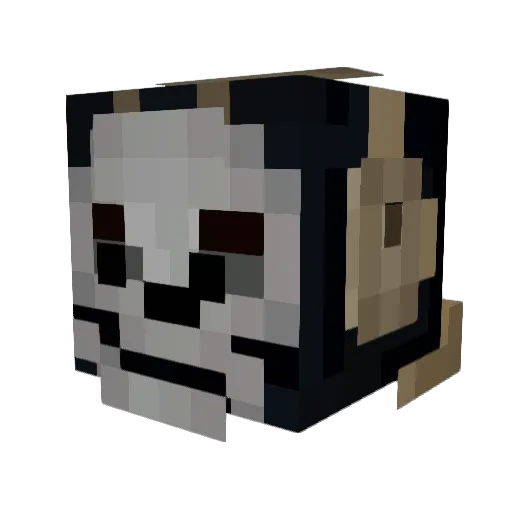 Dsongg1 Minecraft avatar head, 3D render