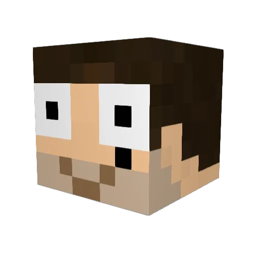 Dsort18 Minecraft avatar head, 3D render