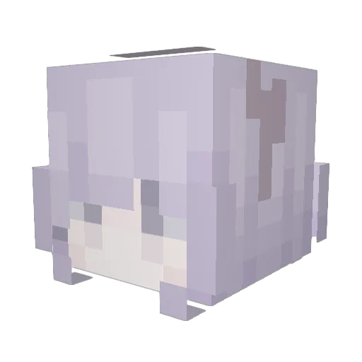 Dssxr Minecraft avatar head, 3D render