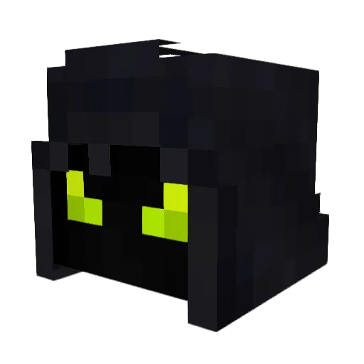 Dsumbra Minecraft avatar head, 3D render