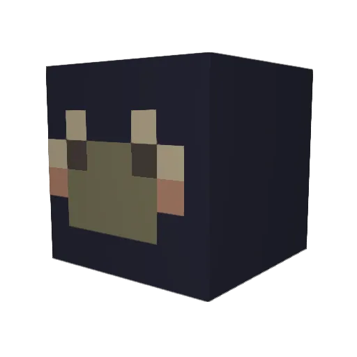 Dsun_hodu Minecraft avatar head, 3D render