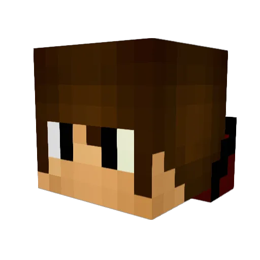 Dtate48 Minecraft avatar head, 3D render