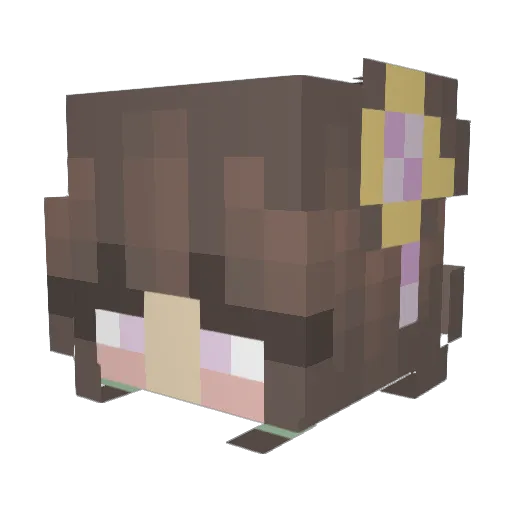 Dthefox Minecraft avatar head, 3D render