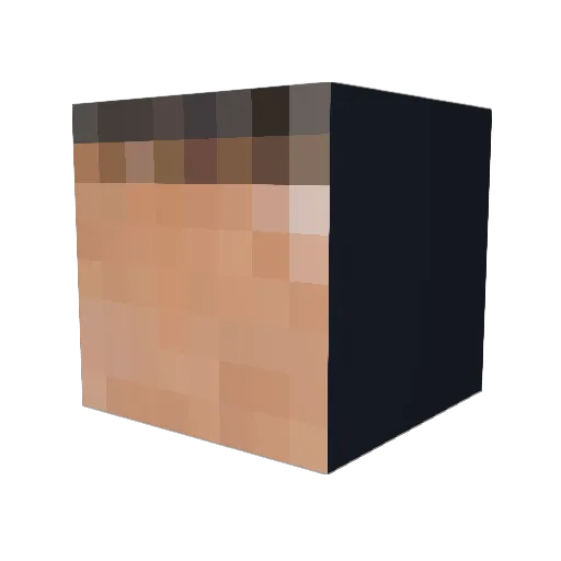 Dtmdtn3 Minecraft avatar head, 3D render