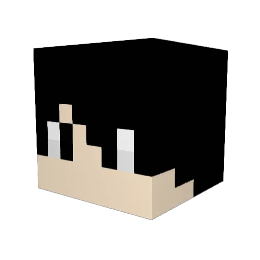 Dtone17 Minecraft avatar head, 3D render