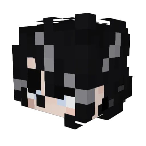 Dts1tg Minecraft avatar head, 3D render