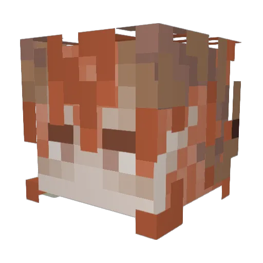 Dtweeb1 Minecraft avatar head, 3D render