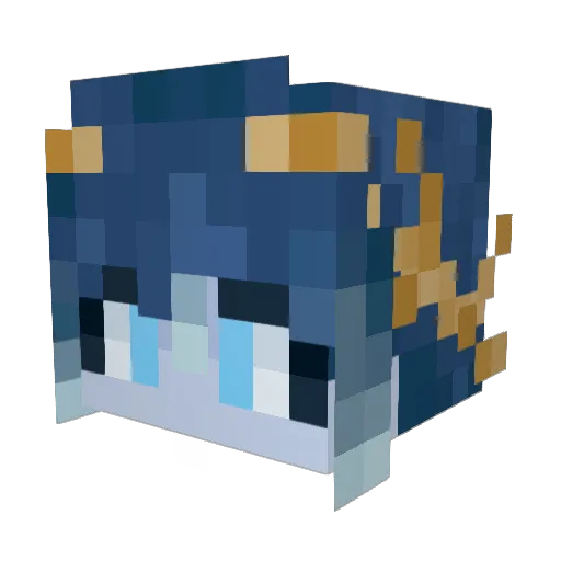 DuBs1228 Minecraft avatar head, 3D render