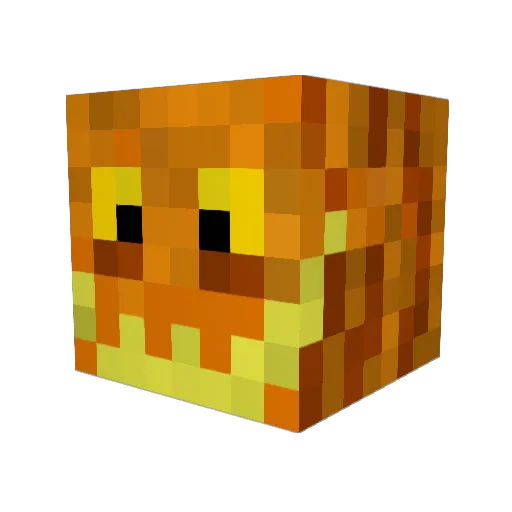 DuCKi300 Minecraft avatar head, 3D render