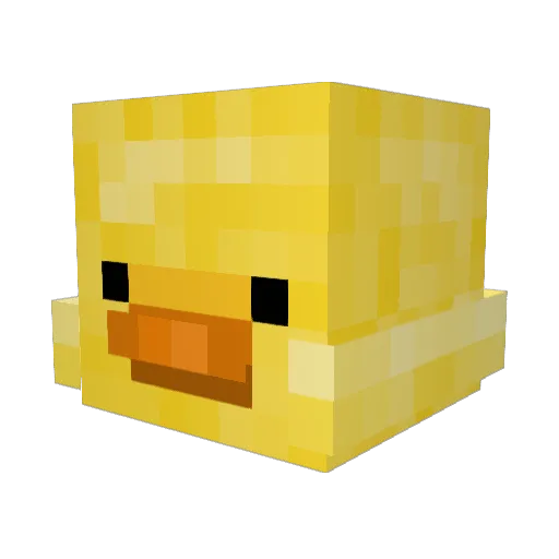 DuCk1079 Minecraft avatar head, 3D render