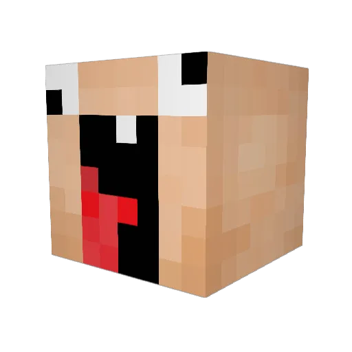 DuDe_Mc Minecraft avatar head, 3D render