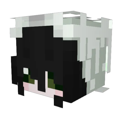 DuDuMier Minecraft avatar head, 3D render