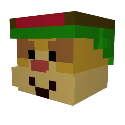 DuFromage1223 Minecraft avatar head, 3D render