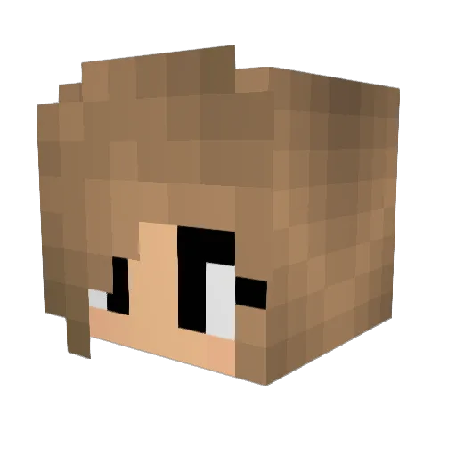 DuKe_Swifty Minecraft avatar head, 3D render