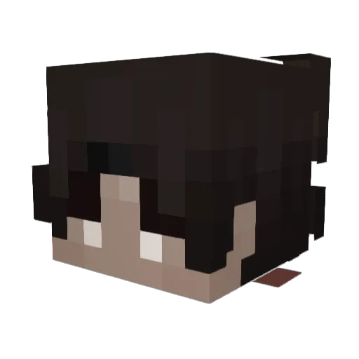 DuLywat Minecraft avatar head, 3D render