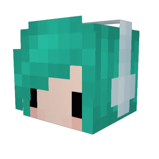 DuMbDoNuTx3 Minecraft avatar head, 3D render