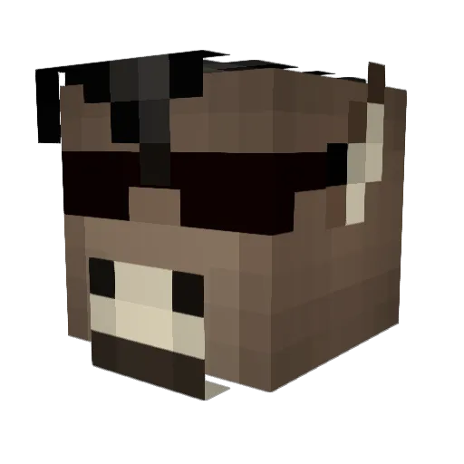 DuNkYB0Y Minecraft avatar head, 3D render
