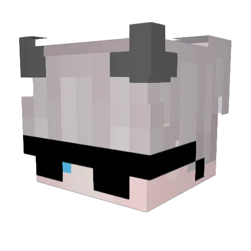 DuPjn Minecraft avatar head, 3D render