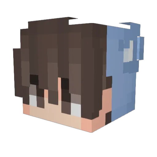 DuTustMirLeid Minecraft avatar head, 3D render