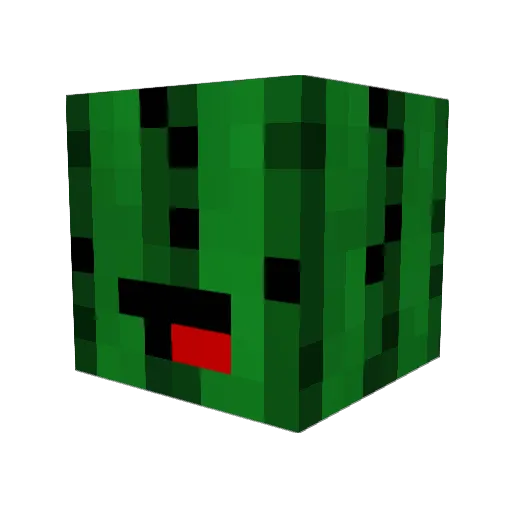 DualCactus Minecraft avatar head, 3D render