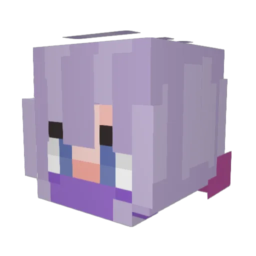 DualDitto Minecraft avatar head, 3D render