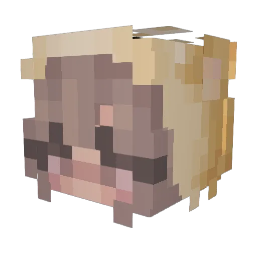Dualburrito Minecraft avatar head, 3D render