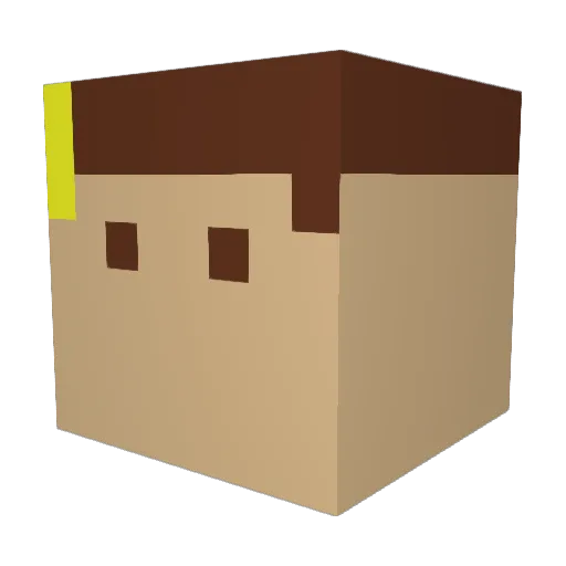 Dualc Minecraft avatar head, 3D render