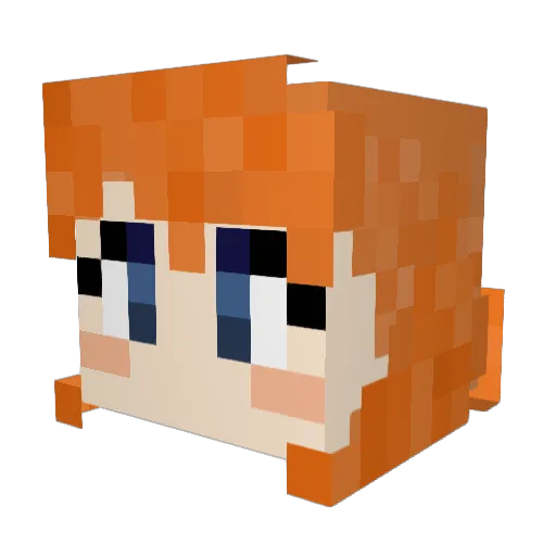 Dualkiller6 Minecraft avatar head, 3D render