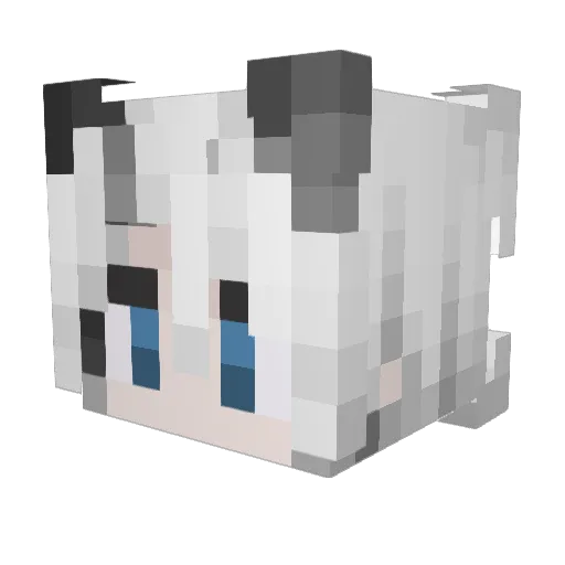 DuanRain Minecraft avatar head, 3D render