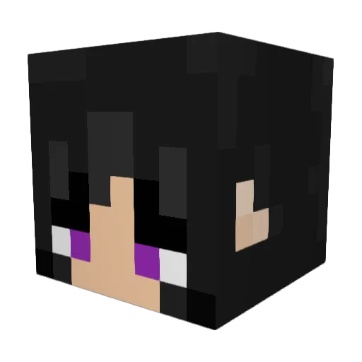 Duanagore Minecraft avatar head, 3D render
