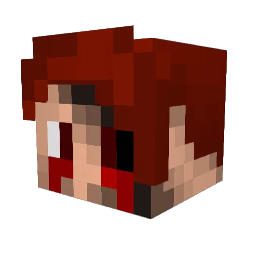 Duaner027 Minecraft avatar head, 3D render