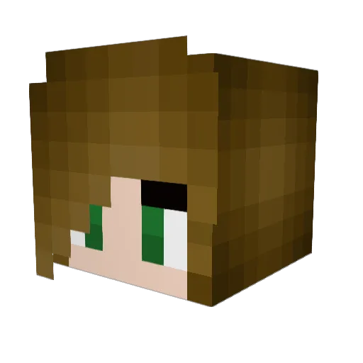 Dub12413 Minecraft avatar head, 3D render