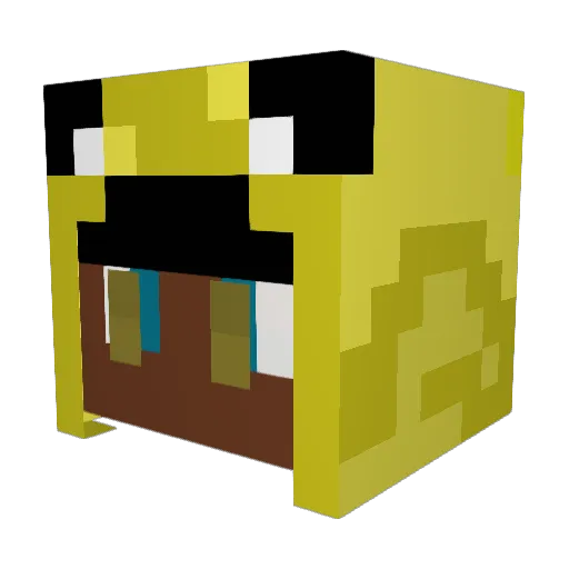 Dub_King205 Minecraft avatar head, 3D render
