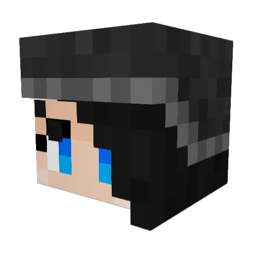 Dub_Saibot Minecraft avatar head, 3D render