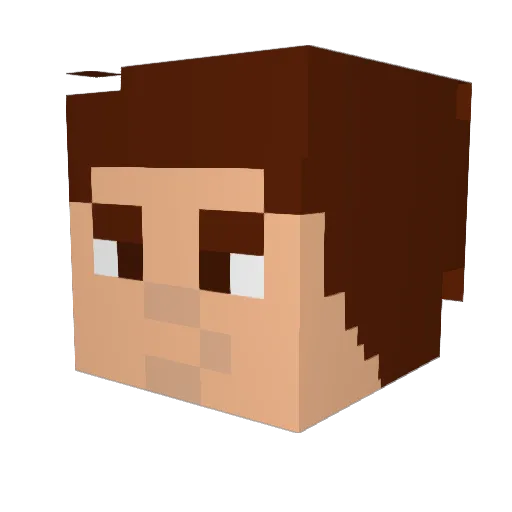 Dubble Minecraft avatar head, 3D render