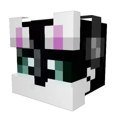 DubhKiroi Minecraft avatar head, 3D render