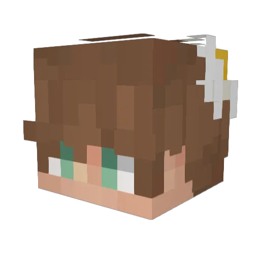 DubiousClown Minecraft avatar head, 3D render