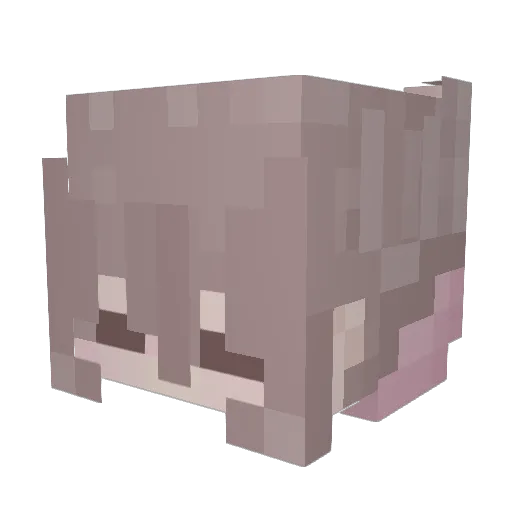 DubiousNihilist Minecraft avatar head, 3D render