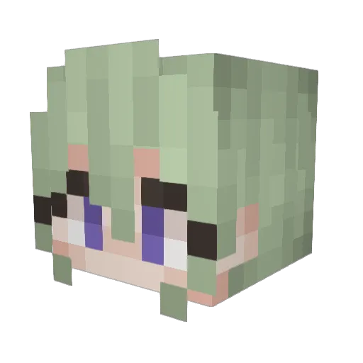 Dubiousfish2021 Minecraft avatar head, 3D render