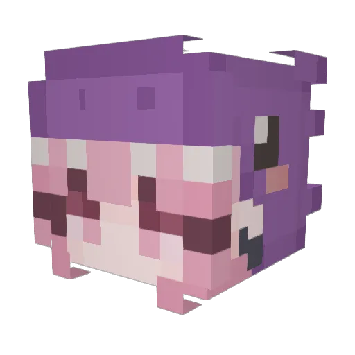 Dubis44 Minecraft avatar head, 3D render