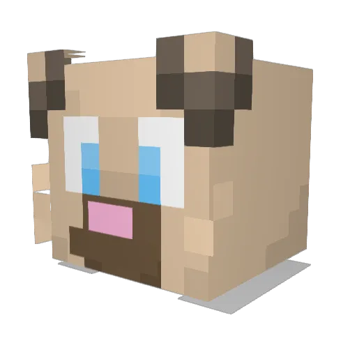 Dubitje Minecraft avatar head, 3D render
