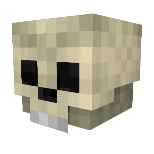 DubleJ207 Minecraft avatar head, 3D render