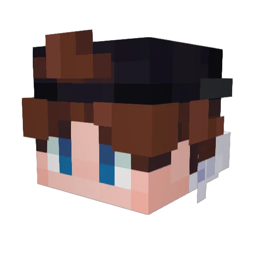Dublimator_ Minecraft avatar head, 3D render