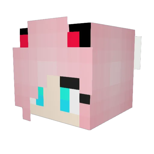 Dubo Minecraft avatar head, 3D render